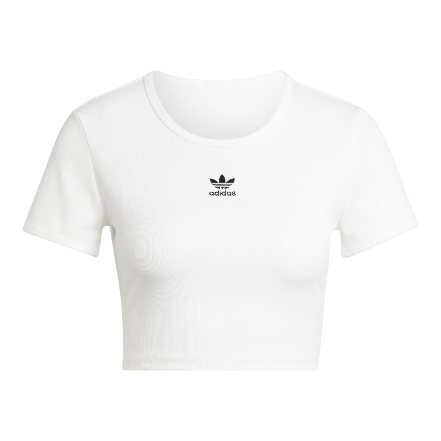 Camiseta Adidas Feminina Cropped Jc9026 | Onesixteam Skateshop - A