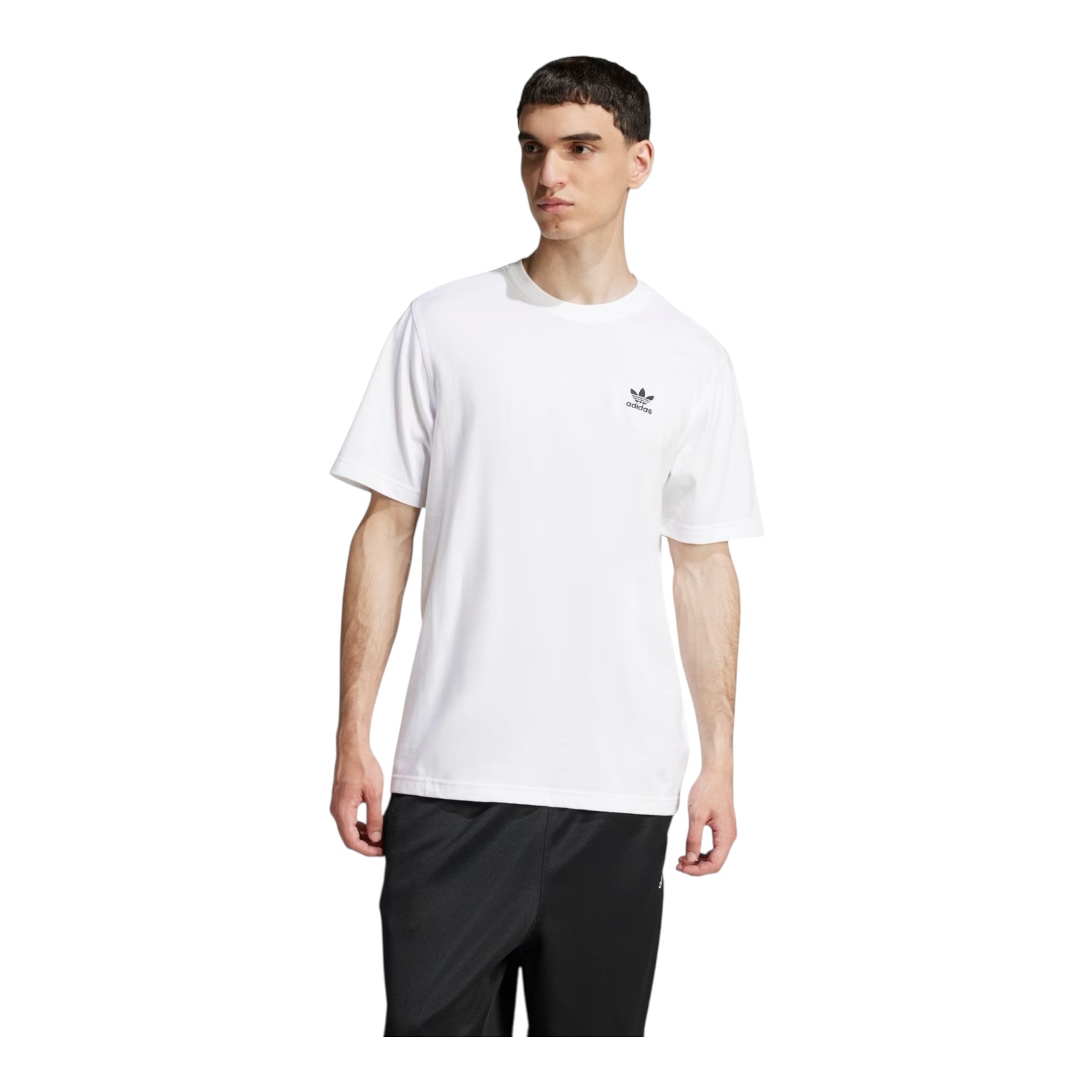 Camiseta Adidas Trefoil Ess Ji8544 | Sunset Skate Shop - A maior e