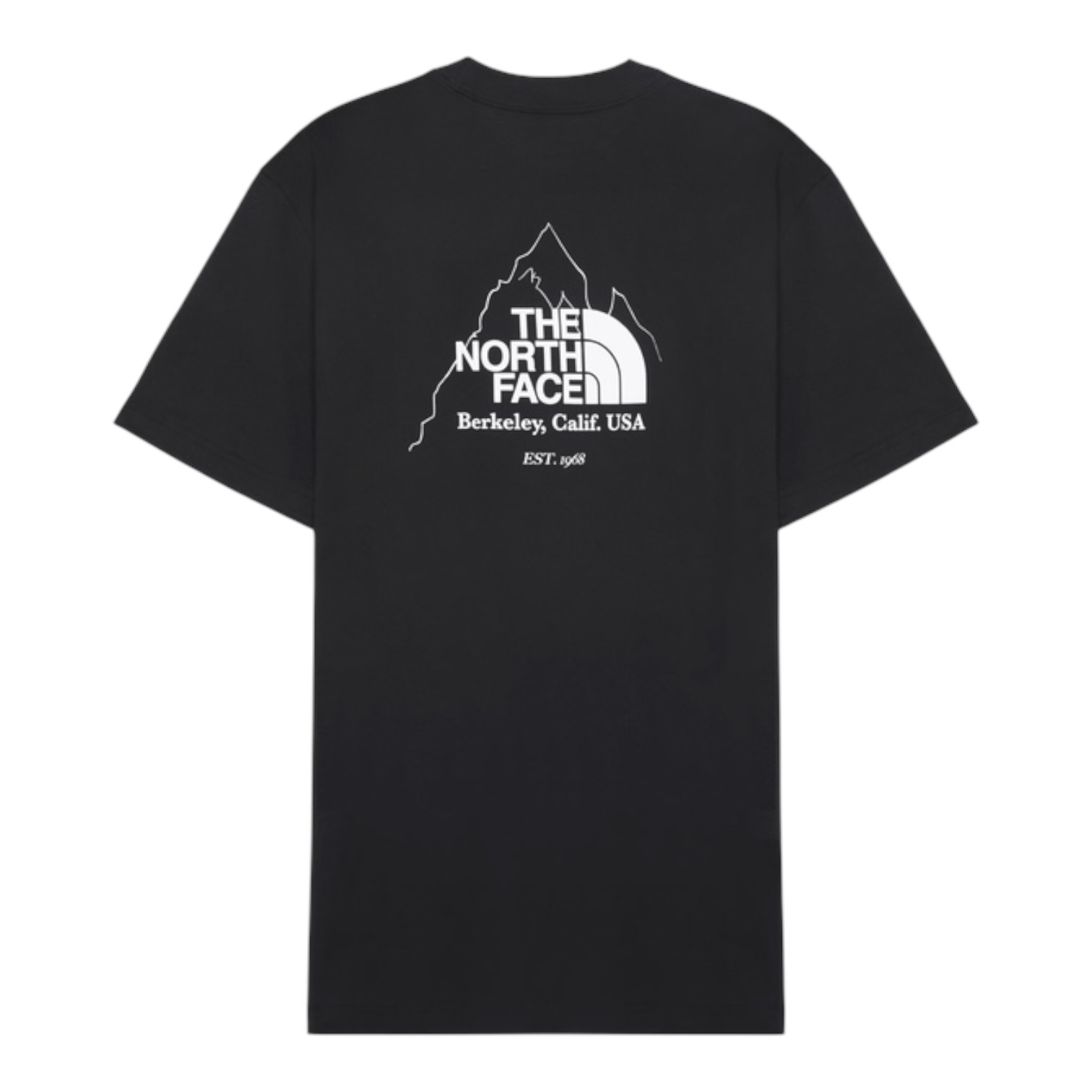 Camiseta The North Face Biner Graphic 4 Preto | Sunset Skate Shop